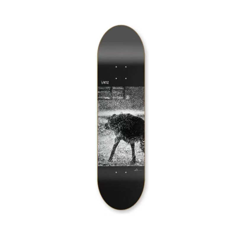 ANTIZ - WOLF 8.0